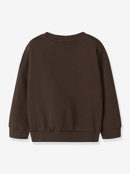 NMMVILDAR sweater voor jongens NAME IT chocoladebruin+lichtblauw+marineblauw - vertbaudet enfant 