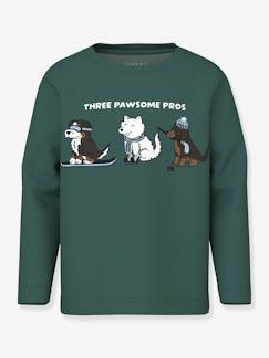 -T-shirt met lange mouwen NMMVUX jongen NAME IT 