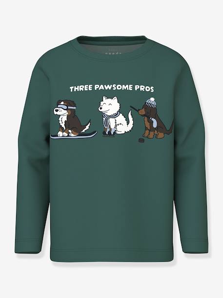 T-shirt met lange mouwen NMMVUX jongen NAME IT dennen+ecru+lichtblauw+marineblauw - vertbaudet enfant 