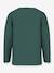 T-shirt à manches longues NMMVUX garçon NAME IT bleu clair+écru+marine+vert sapin - vertbaudet enfant 