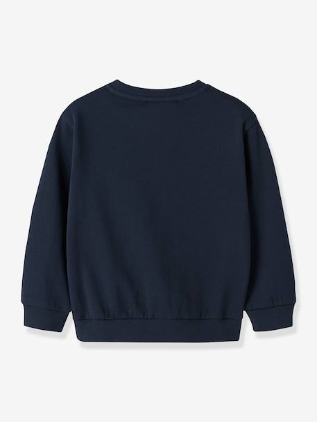 Sweatshirt NMMVILDAR garçon NAME IT bleu clair+chocolat+marine - vertbaudet enfant 