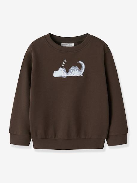 Sweatshirt NMMVILDAR garçon NAME IT bleu clair+chocolat+marine - vertbaudet enfant 