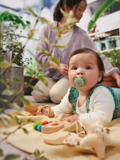 -Set van 2 PHILIPS AVENT ultra soft lolly 6-18 maanden forest friends