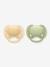 Lot de 2 sucettes ultra soft 6-18 mois forest friends vert+vert imprimé - vertbaudet enfant 