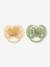 Set van 2 PHILIPS AVENT ultra soft lolly 6-18 maanden forest friends groen+groen, bedrukt - vertbaudet enfant 