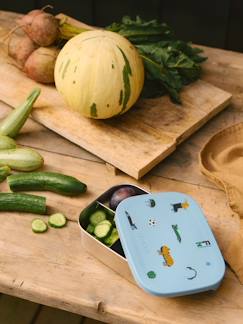 -Lunch box Arthur -