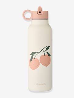-Gourde Falk 500ml