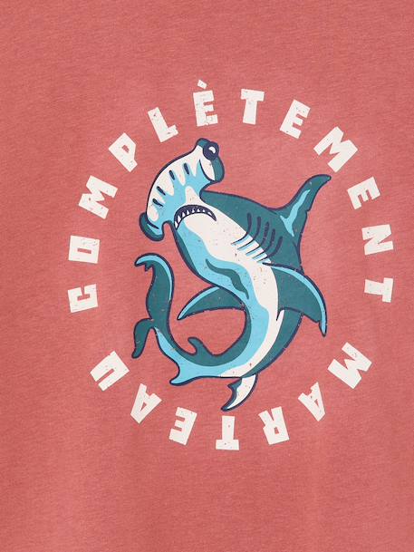 T-shirt garçon motif ludique bleu océan+bois de rose+vert d'eau - vertbaudet enfant 