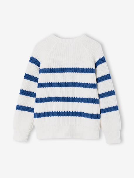 Pull garçon rayé bleu moyen+bordeaux+écru+encre+vert sauge - vertbaudet enfant 