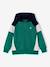 Sweat zippé garçon capuche coloblock bleu moyen+bordeaux+gris chiné+ocre+vert - vertbaudet enfant 