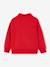 Sweater met rits voor jongens met een opstaande kraag dennen+marineblauw+rood - vertbaudet enfant 