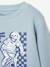 Fantasie sweater voor jongens bleekblauw+gemêleerd wit+groen+okergeel - vertbaudet enfant 