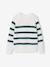Pull garçon rayé bleu moyen+bordeaux+écru+encre+vert sauge - vertbaudet enfant 