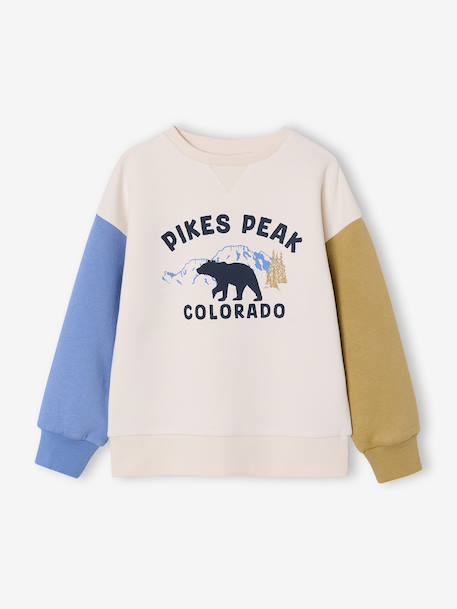 Sweater voor jongens met ronde hals en lange mouwen meerkleurig - vertbaudet enfant 