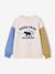 Sweater voor jongens met ronde hals en lange mouwen meerkleurig - vertbaudet enfant 