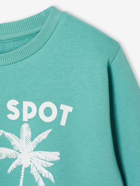Fantasie sweater voor jongens bleekblauw+gemêleerd wit+groen+okergeel - vertbaudet enfant 