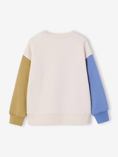 Sweater voor jongens met ronde hals en lange mouwen meerkleurig - vertbaudet enfant 