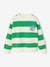 Gestreept sweater voor jongens met geplaatst motief geel, gestreept+pistache - vertbaudet enfant 