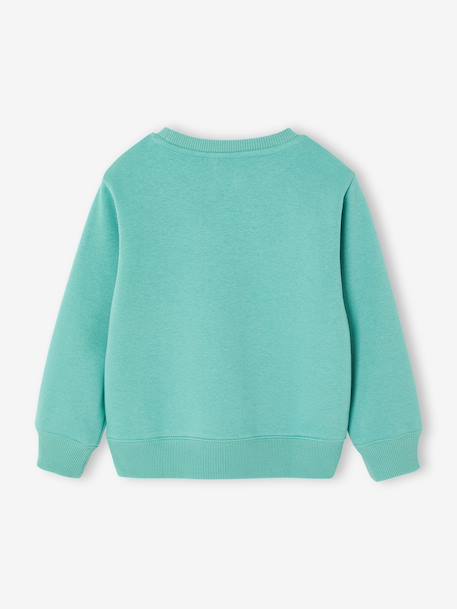 Fantasie sweater voor jongens bleekblauw+gemêleerd wit+groen+okergeel - vertbaudet enfant 