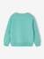 Fantasie sweater voor jongens bleekblauw+gemêleerd wit+groen+okergeel - vertbaudet enfant 