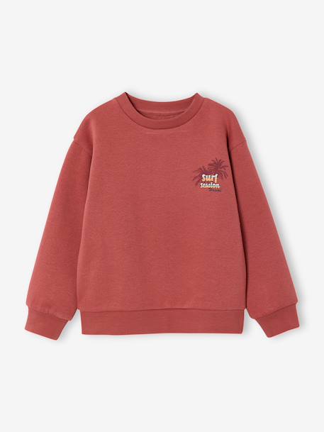 Sweat col rond garçon manches lo bois de rose+jaune pastel - vertbaudet enfant 