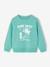 Fantasie sweater voor jongens bleekblauw+gemêleerd wit+groen+okergeel - vertbaudet enfant 