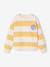 Gestreept sweater voor jongens met geplaatst motief geel, gestreept+pistache - vertbaudet enfant 