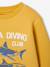 Fantasie sweater voor jongens bleekblauw+gemêleerd wit+groen+okergeel - vertbaudet enfant 