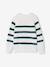 Pull garçon rayé bleu moyen+bordeaux+écru+encre+vert sauge - vertbaudet enfant 