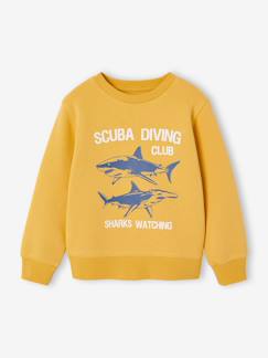 -Fantasie sweater voor jongens