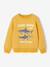 Sweat garçon fantaisie blanc chiné+bleu pâle+ocre+vert - vertbaudet enfant 