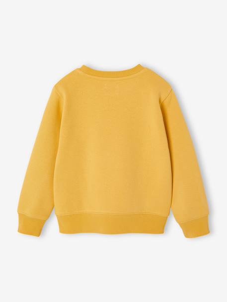 Fantasie sweater voor jongens bleekblauw+gemêleerd wit+groen+okergeel - vertbaudet enfant 