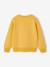 Sweat garçon fantaisie blanc chiné+bleu pâle+ocre+vert - vertbaudet enfant 