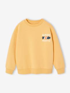 -Sweat col rond garçon manches lo