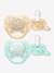Set van 2 ultra zachte lolly 0-6 maanden forest friends blauw, bedrukt - vertbaudet enfant 