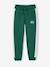 Jogging garçon bande côté bordeaux+gris chiné+rouge+vert - vertbaudet enfant 