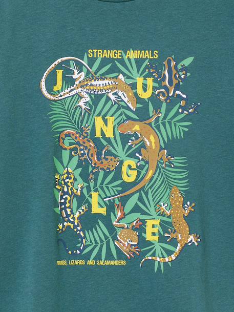 T-shirt voor jongens met een speels motief blauwgroen+oceaanblauw+rozenhout - vertbaudet enfant 