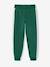 Joggingbroek voor jongens met een band aan de zijkant bordeauxrood+gemêleerd grijs+groen+rood - vertbaudet enfant 
