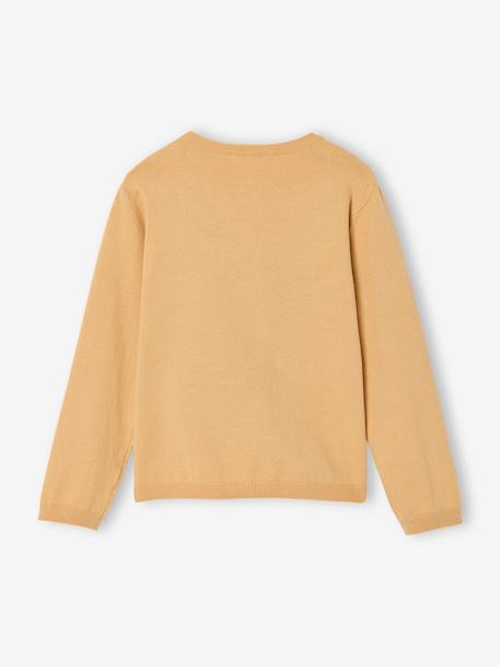 Meisjesvest Basics van fijn breisel antraciet+geel+gemêleerd beige+grijsblauw+marineblauw+pruim+rozenhout+smaragdgroen+vanille - vertbaudet enfant 