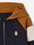 Sweat zippé garçon capuche coloblock bleu moyen+bordeaux+gris chiné+ocre+vert - vertbaudet enfant 