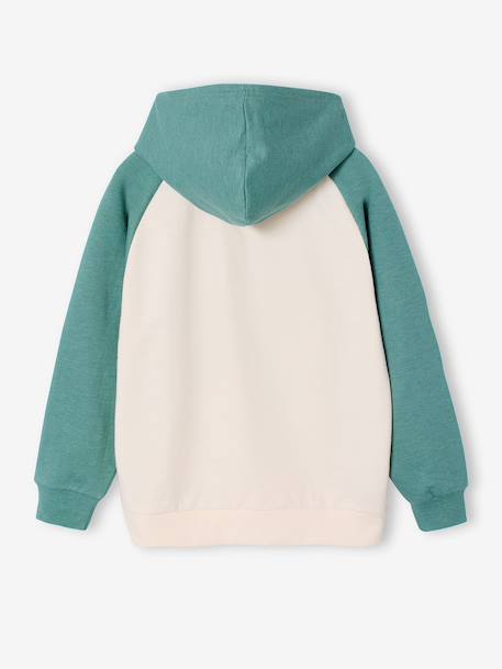 Sweat à capuche garçon Pat patrouille vert sauge - vertbaudet enfant 