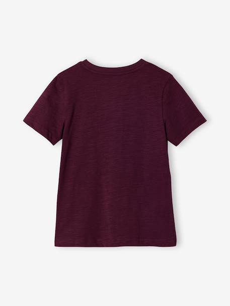 T-shirt garçon personnalisable manches courtes aubergine+blanc+BLEU+jaune pâle+rouge+sauge - vertbaudet enfant 