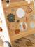 Loopwagen met remmen GREEN FOREST van FSC®-hout geel+hout+rood - vertbaudet enfant 