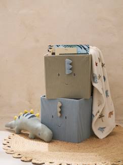 Linnengoed en decoratie-Decoratie-Decoratietoebehoren-Set van 2 dino opbergbakken Minisaurus van VERTBAUDET in ribfluweel