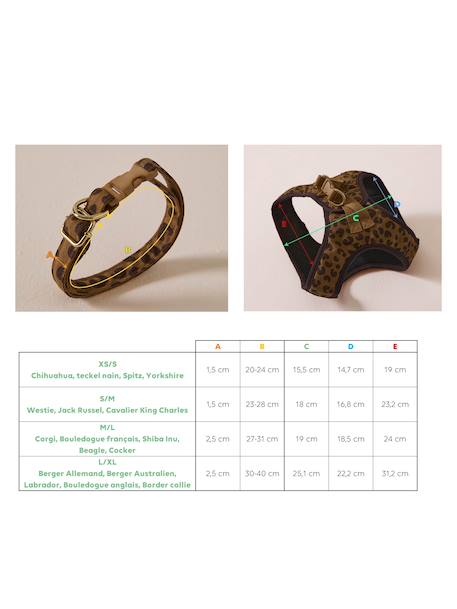 Set promenade pour chien : harnais + laisse + collier café - vertbaudet enfant 