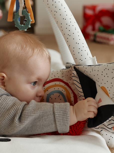 Evolutieve speelmat met bogen ÉVEIL & SENSORIEL meerkleurig - vertbaudet enfant 