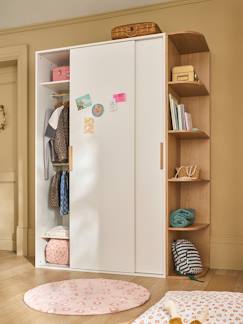 -Armoire 2 portes coulissantes + bibliothèque JAPI