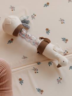 Speelgoed-Eerste levensjaren-Regenstok Gans 