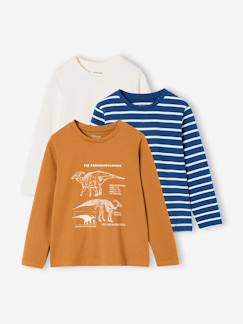 -Lot de 3 t-shirts garçon