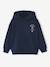 Sweat à capuche garçon Harry Potter marine - vertbaudet enfant 